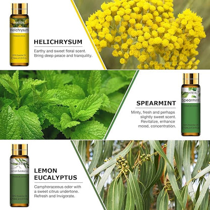 PHATOIL Premium Essential Oil Set - 9x10ML Pure Essential Oils for Massage, Aromatherapy, Diffusers, DIY - 0.33FL.OZ/Bottle