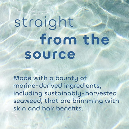 Seaweed Bath Co. Purify Detox Facial Bar Soap, 3.75 Ounce, Sustainably Harvested Seaweed, Volcanic Ash