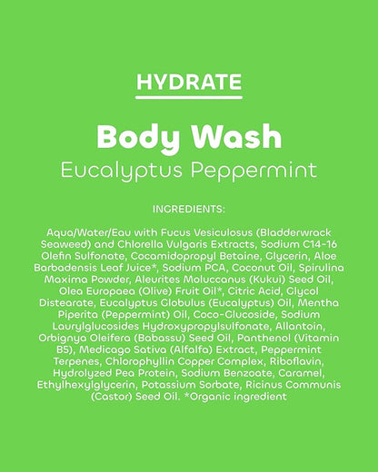 Seaweed Bath Co. Hydrate Body Wash, Eucalyptus Peppermint Scent, 12 Ounce, Shower Gel for Men & Women, Vegan, Paraben Free, Sulfate Free, Cruelty Free