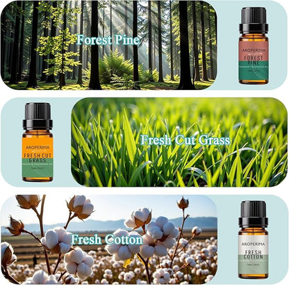 Clean Home Fragrance Essential Oil Set - Forest Pine, Fresh Cut Grass, Fresh Cotton, Ocean Breeze, Orange, Amber 6x10ML for Diffusers, Aromatherapy, Massage, Perfume, Soap Making and Candle