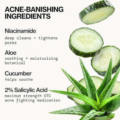 Pacifica Bacne Warrior - Bacne Salicylic Acid Spray, Back Acne Treatment Spray with 2% Salicylic Acid, Niacinamide, and Aloe, Body Acne Warrior for Body, Chest, and Back, Dermatologist Tested- 6 Fl Oz