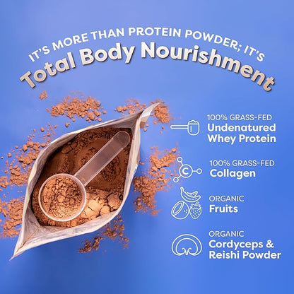 FlavCity Grass Fed Whey Protein Powder - Variety Pack - 25g Protein & 10g Collagen - 5 Single Serve Packets - Made with Organic Reishi & Cordyceps - Gluten Free & No Added Sugars