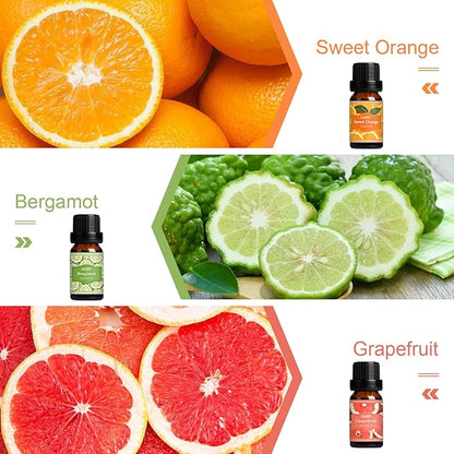 SALUBRITO Fresh Fruit Fragrance Oils Set, Essential Oils for Diffuser, Candle, Soap Making - Strawberry, Sweet Orange, Pineapple, Coconut, Bergamot, Grapefruit, 6X10ml