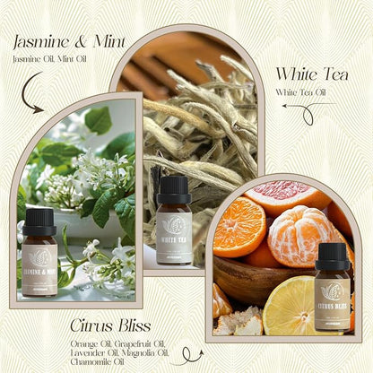 Hotel Diffuser Oils Gift Set, ARVIDSSON Luxury Fragrance Oil Blend, Hotel Scent Essential Oils for Diffuser, Jasmine & Mint, White Tea, Citrus Bliss, M-Way, Fancy Lobby, Gift for Women and Men