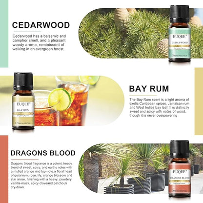 EUQEE 6PCS Fragrance Oils for Men, Men's Pubs Gift Set Premium Fragrance Oils -10ml-Leather, Sweet Tobacco（New Name-Honeyed Haze）, Dragons Blood, Sandalwood, Bay Rum, Cedarwood (Men's Pubs)