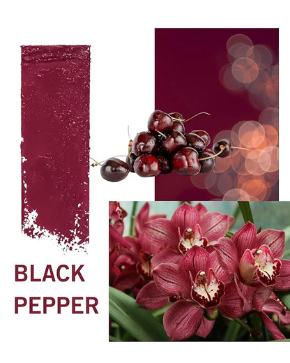 SIIA Cosmetics Change Agent Magnetic Original Lipstick in Black Pepper
