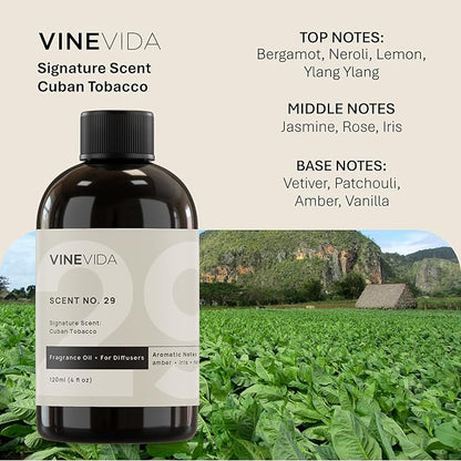 VINEVIDA [4 Fl Oz] Cuban Tobacco Fragrance Oil for Cold Air Diffusers, Essential Oils for Diffuser Oil Refill & Air Freshener Room Spray