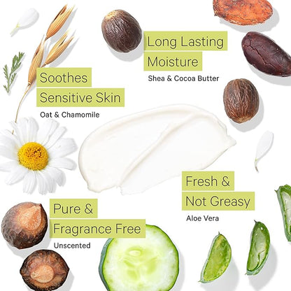 Tree to Tub Unscented Shea Butter Body Lotion for Dry Skin - Fragrance Free Lotion,Vegan Body Moisturizer, Good for Sensitive Skin for both Women & Men 2 Pack