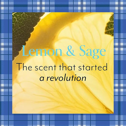 Bliss Gilmore Girls x Lemon & Sage Body Butter | Nourishing All-Over Body Cream for All-Day Moisture