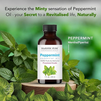 Majestic Pure Peppermint Essential Oil with Glass Dropper - 1 Fl Oz - 100% Pure and Natural Peppermint Oil - Premium Grade Essential Oils for Diffuser, Aromatherapy, Soap and Candle Making