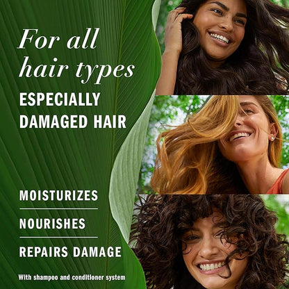 Herbal Essences Argan Oil Repair Shampoo & Conditioner Set, Moisturizes & Smoothes, Paraben-Free, Color-Safe, pH-Balanced, Citrus Scent, 20.2 Fl Oz, 2-Pack
