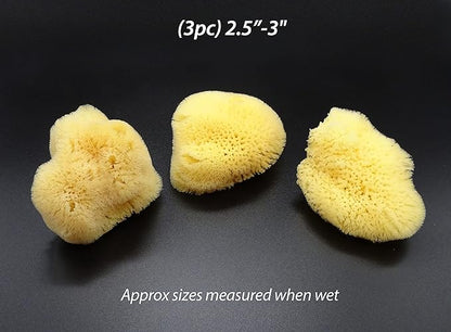 Natural Sea Silk Sponges 12pk: Size 9pc x1.5-2.5" 3pc x 2.5"-3", Like Cotton Balls, for Cosmetic Use, Makeup Application & Removal, Face & Eye Cleaning, with Luxury Gift Bag by Constantia Beauty®
