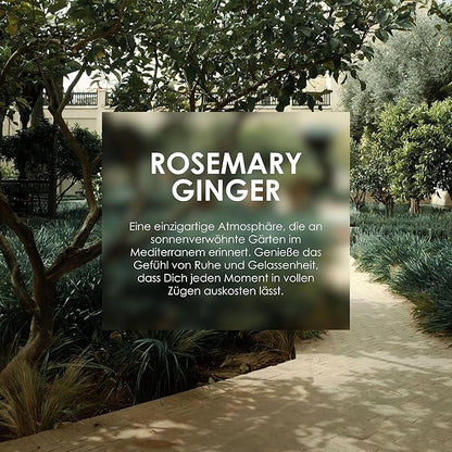 Jean & Len Scent Experience Rosemary & Ginger, Eau de Toilette with rosemary & ginger fragrance, practical mini perfume, ideal for on the go, minimalistic glass bottle, 0.34 Fl. Oz.