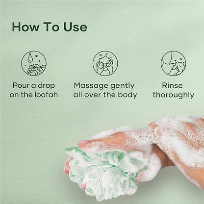 Botanic Hearth Eucalyptus & Tea Tree Body Wash | 16 Fl Oz | Helps Soothe Skin, Refreshing And Invigorating, Cleansing Shower Gel For Men And Women | Sulfate Free, Paraben Free